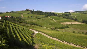 8 Nov 2019 – Weekend nelle langhe